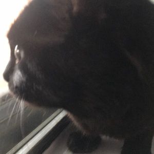 Meet your Posher, Judith